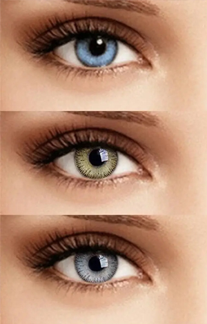 Student eyewear option